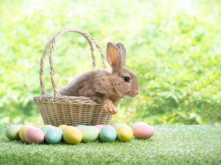 Brown cute rabbit sitting in basket on grass with easter eggs and green nature background.