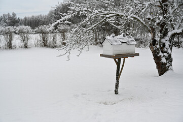 Bird feeder looking like a house standing in snowy garden