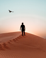 Person on top of dunes with flying falcon