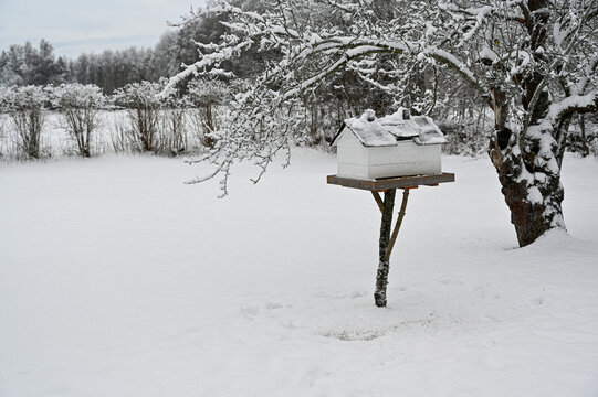 Bird feeder looking like a house standing in snowy garden