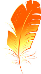 Orange Feather