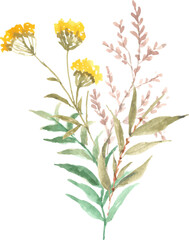 Beautiful floral bouquet watercolor