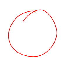 Circle line, check line, circle correction 