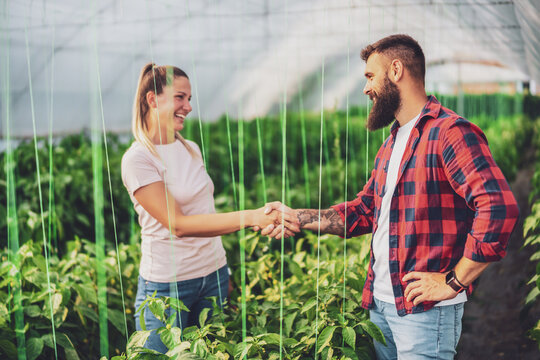 Organic greenhouse business. Family farmers are standing in their vegetable garden and handshaking. - Powered by Adobe