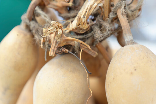 journ&eacute;e gestion differenci&eacute;e