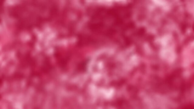 Abstract viva magenta unfocused blurry background. Seamless 4K video animation background 