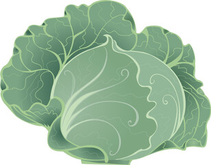 Colorized stylized cabbage