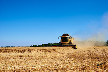 Combine harvester harvesting golden wheat field, harvester working in an agricultural field,...