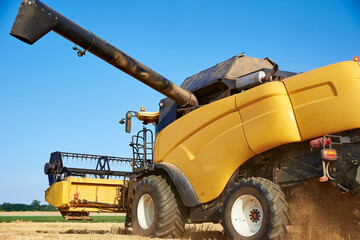 Combine harvester harvesting golden wheat field, harvester working in an agricultural field, harvest season