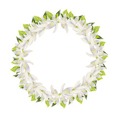 Watercolor hand drawn circle wreath with spring flowers, daffodils, crocus, snowdrops, leaves. Isolated on white background. Design for invitations, wedding, greeting cards, wallpaper, print, textile.