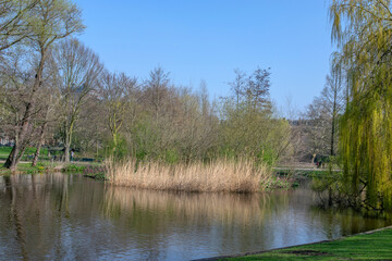 Fototapeta na wymiar Spring At The Sarphati Park At Amsterdam The Netherlands 2019