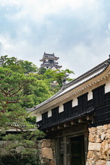 Fototapeta premium しろ