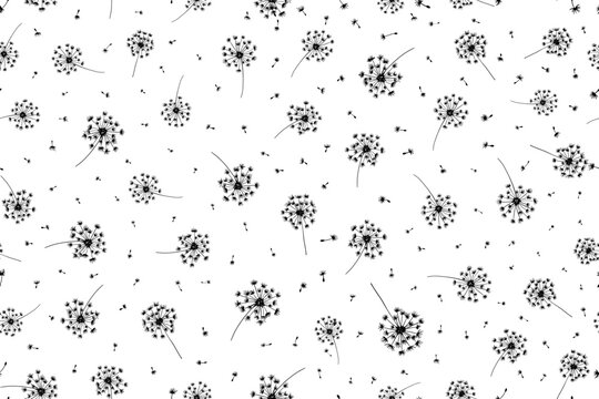 Hand draw bloomy dandelions and fluffy seeds decorative seamless pattern. Floral background endless texture