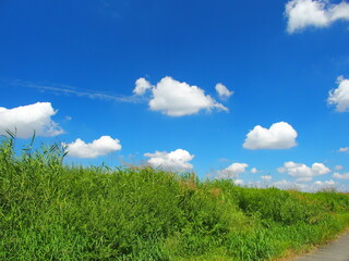 放水路土手と秋の雲浮かぶ青空風景