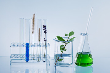  Laboratory glassware with organic herbs. Organic skin care beauty products laboratory concept.
