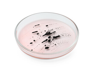 Petri dish with bacteria on white background