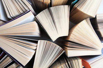 Naklejka premium Collection of different books on white shelf, above view