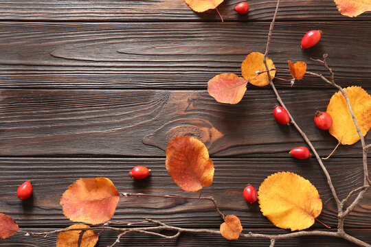 Tree branch with yellowed leaves and rosehip berries on wooden table, flat lay. Space for text