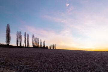 A spectacular sunrise with sunbeams over the rolling hills in an Italian landscape with the typical Tuscan Poplar trees. This landscape can also be found in the Netherlands