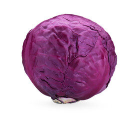 One fresh ripe red cabbage isolated on white