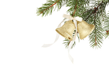 Christmas bells with bow hanging on fir tree branch against white background