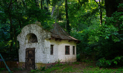 Fototapeta na wymiar old house in forest