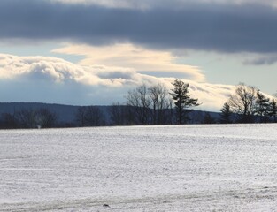 Obraz na płótnie Canvas Winter round the Valley today.