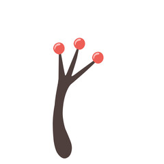 Berry Christmas Vector Icon