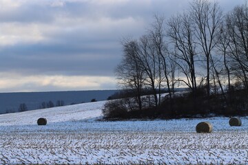 Winter round the Valley today.