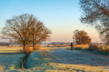 Man on a bicycle rides through a cold Dutch polder landscape on an early winter morning. The grass...