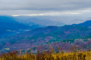 Obraz premium Amazing view of Magnificent autumn carpet in The Rhodope mountains