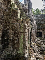 angkor wat