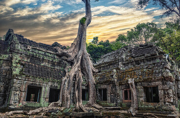 angkor wat