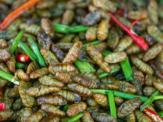 Insekten