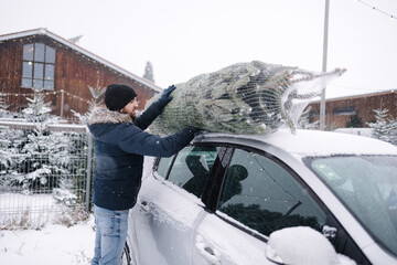 Handsome man tying to put a Christmas tree to the roof of the car to bring it home. Live fir tree devilery