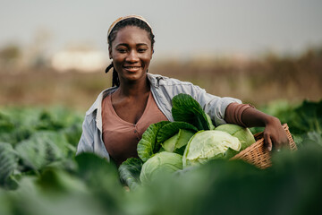 Portrait of a dedicated black woman holding a crate full of fresh cabbage in her hands on the farm...