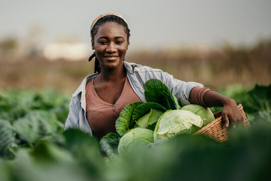 Portrait of a dedicated black woman holding a crate full of fresh cabbage in her hands on the farm outdoors.
