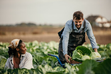 Cropped shot of a young farm couple carrying a crate of fresh produce. Dedicated working couple in the field harvesting