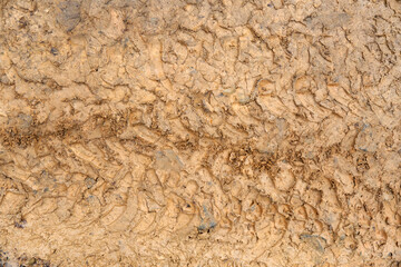 Traces of tire treads on the ground. Imprint tires on wet clay. Brown dirt with traces from the wheels of the SUV. 