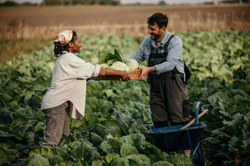 Cropped shot of a young farm couple carrying a crate of fresh produce. Dedicated working couple in the field harvesting