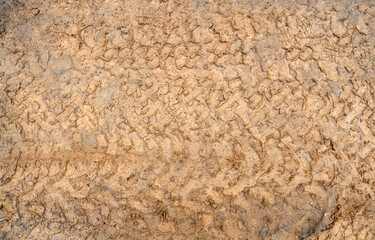 Traces of tire treads on the ground. Imprint tires on wet clay. Brown dirt with traces from the wheels of the SUV. 