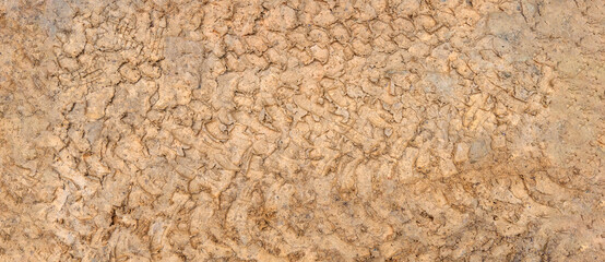 Traces of tire treads on the ground. Imprint tires on wet clay. Brown dirt with traces from the wheels of the SUV. 
