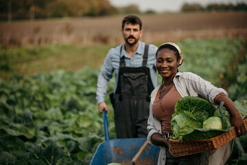 Loving couple working together on their farm, harvesting in the field. family and small business...