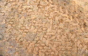 Traces of tire treads on the ground. Imprint tires on wet clay. Brown dirt with traces from the wheels of the SUV. 