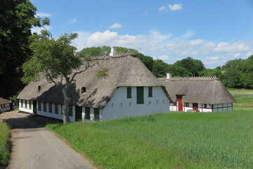 Vibæk Mølle, Insel Als, Süddänemark