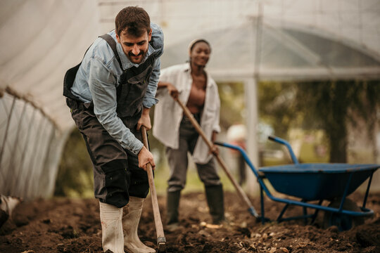 Dedicated multiracial working couple raking and digging soil in a greenhouse on their farm.