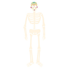 Dia de los Muertos skeleton vector illustration in flat color design