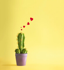 Funny concept of a cactus in a shape of a male penis with red hearts coming out of it. Vibrant...