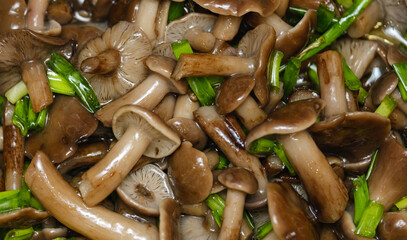 salted mushrooms in oil and green onions