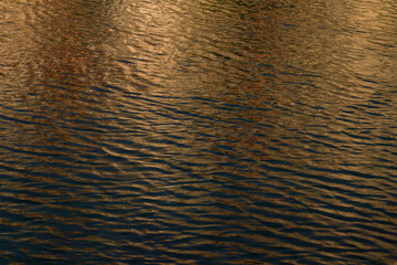 water waves light waves water surface